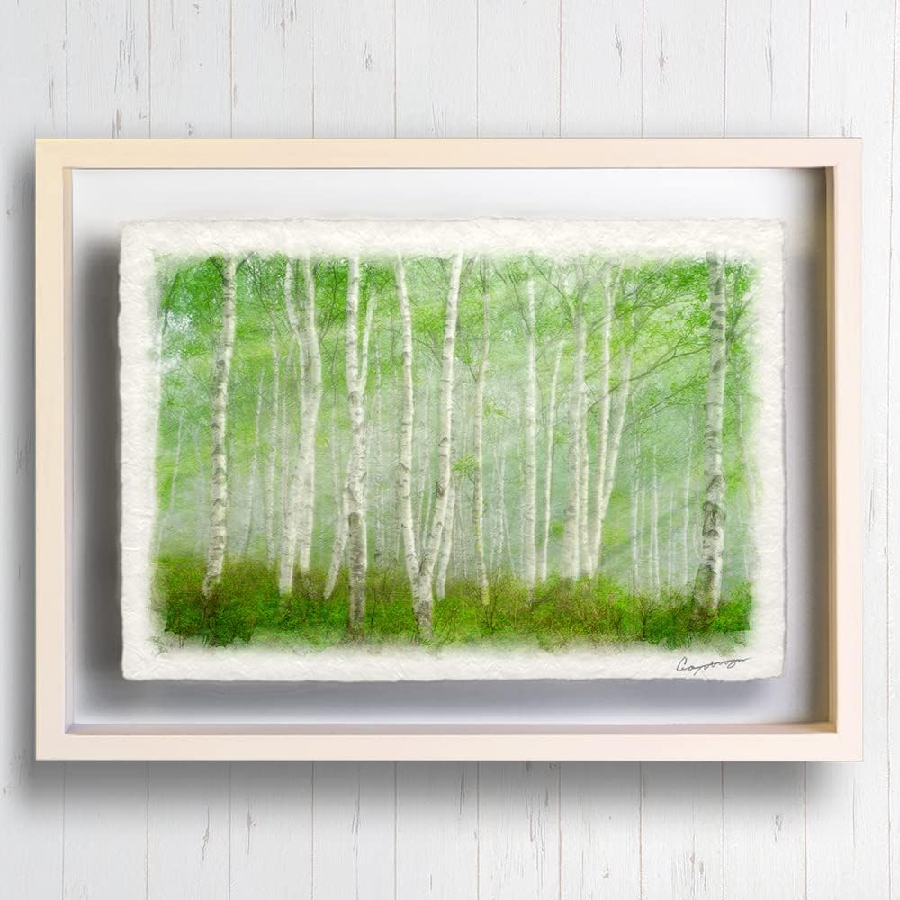 清水晶一・秋の白樺林 油絵 絵画 裏書有 インテリア 置物